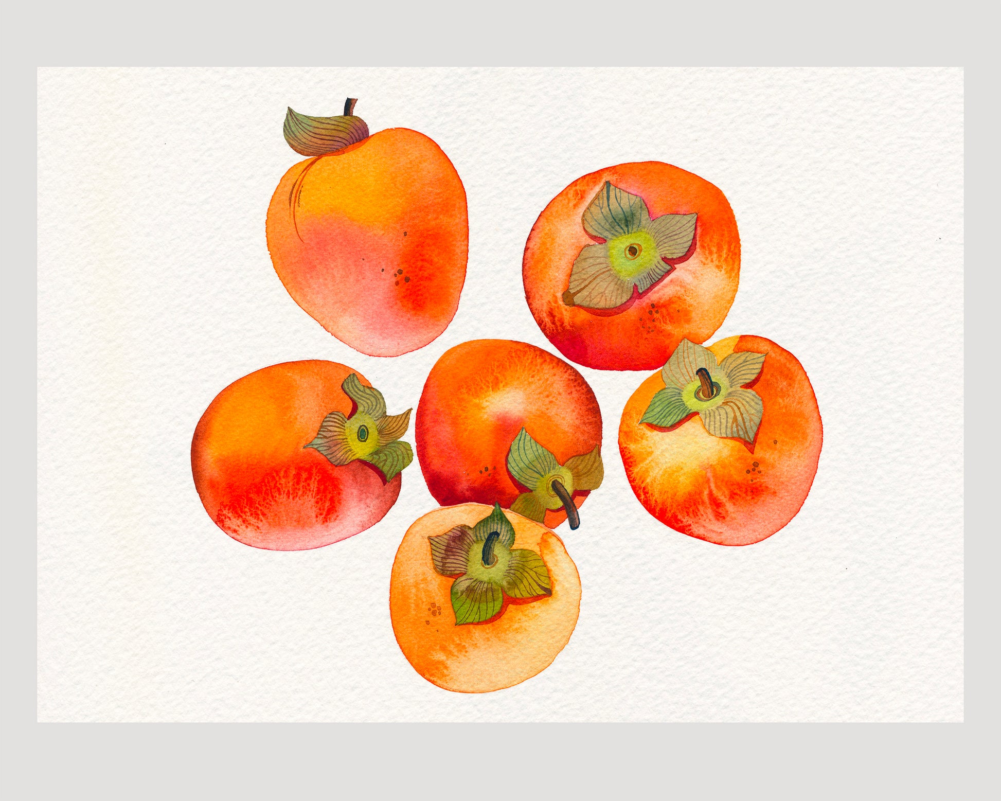 Persimmons watercolor art print