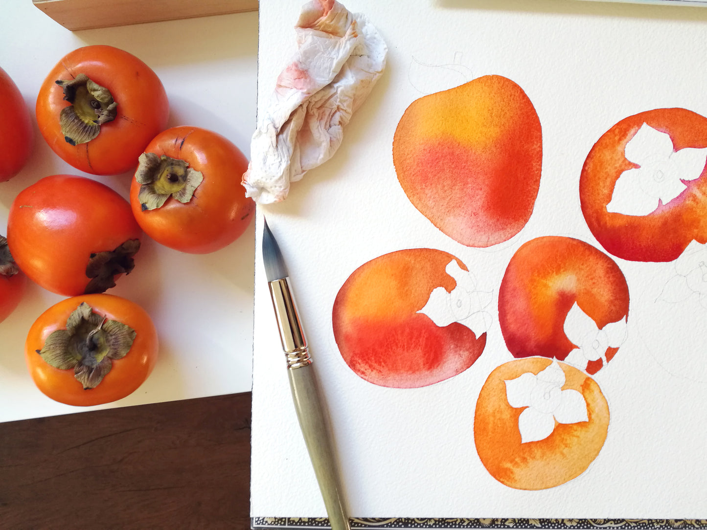 persimmons watercolor painting from life in progress