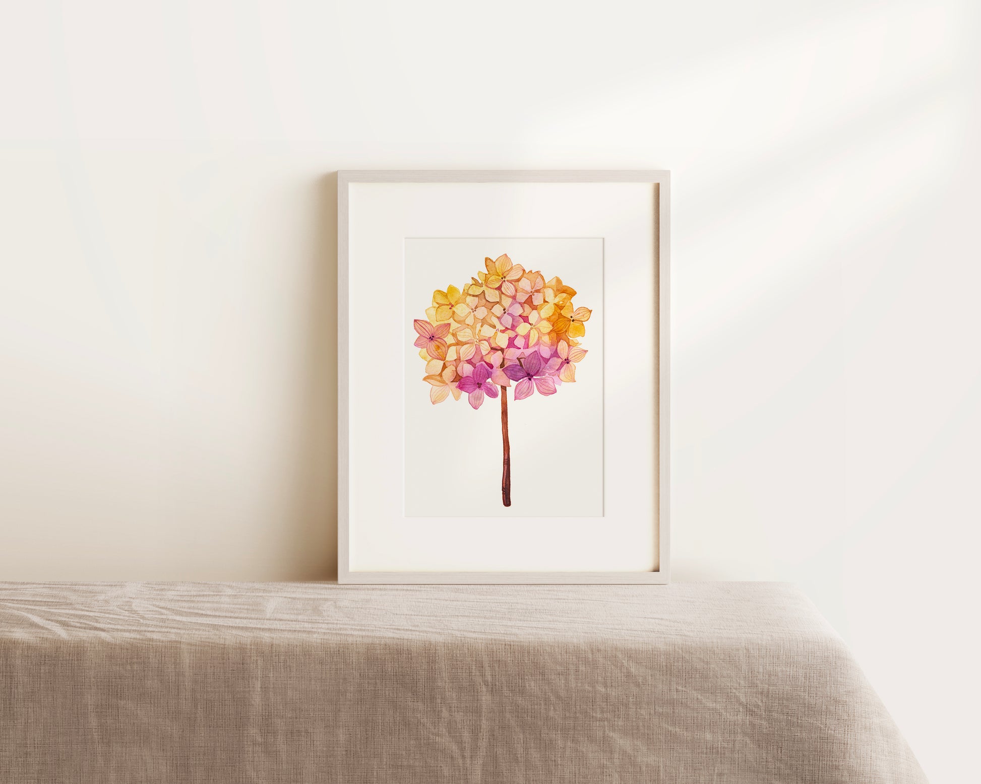 Framed pink hydrangea dried flower ball watercolor print 