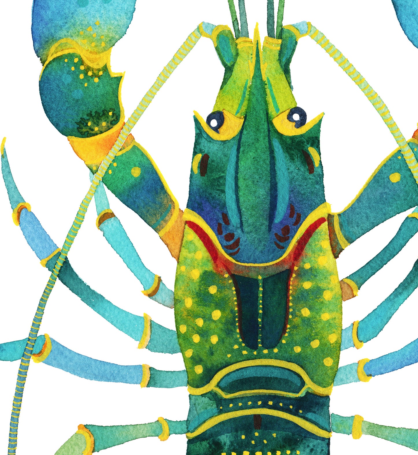 detail of a Red Claw Crayfish watercolor painting