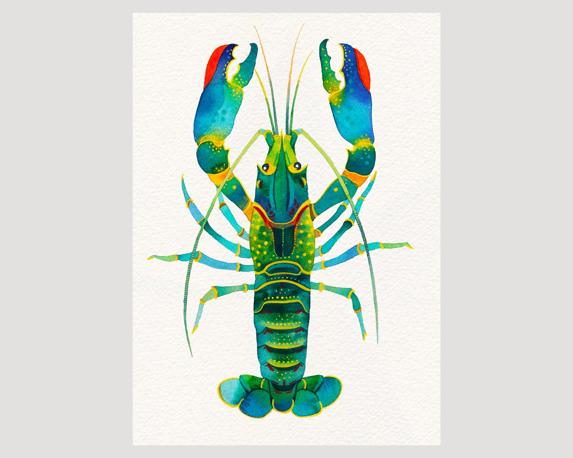 Red Claw Crayfish watercolor art print 03