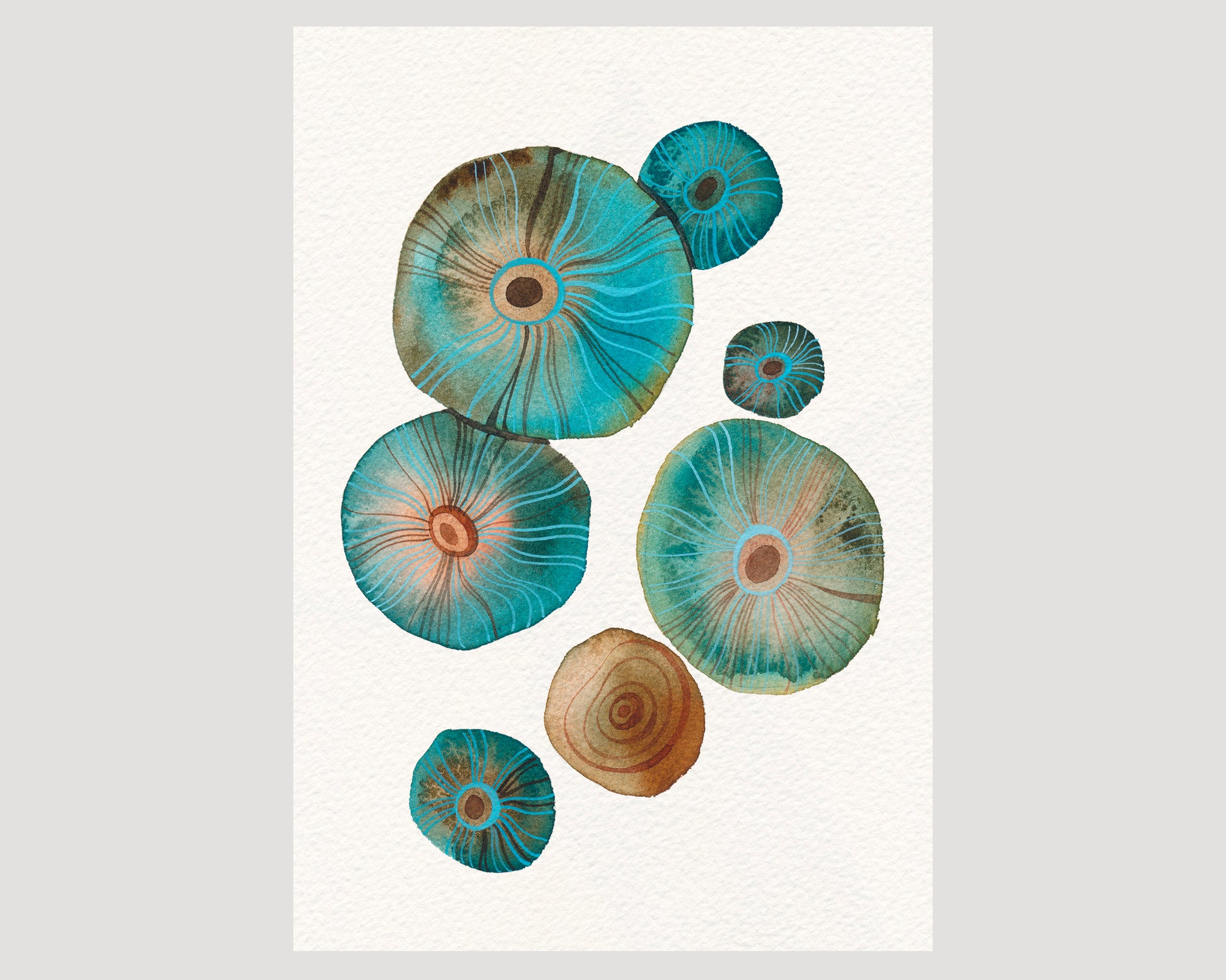 A botanical print featuring a watercolor illustration of salted saffron milk cap mushrooms.