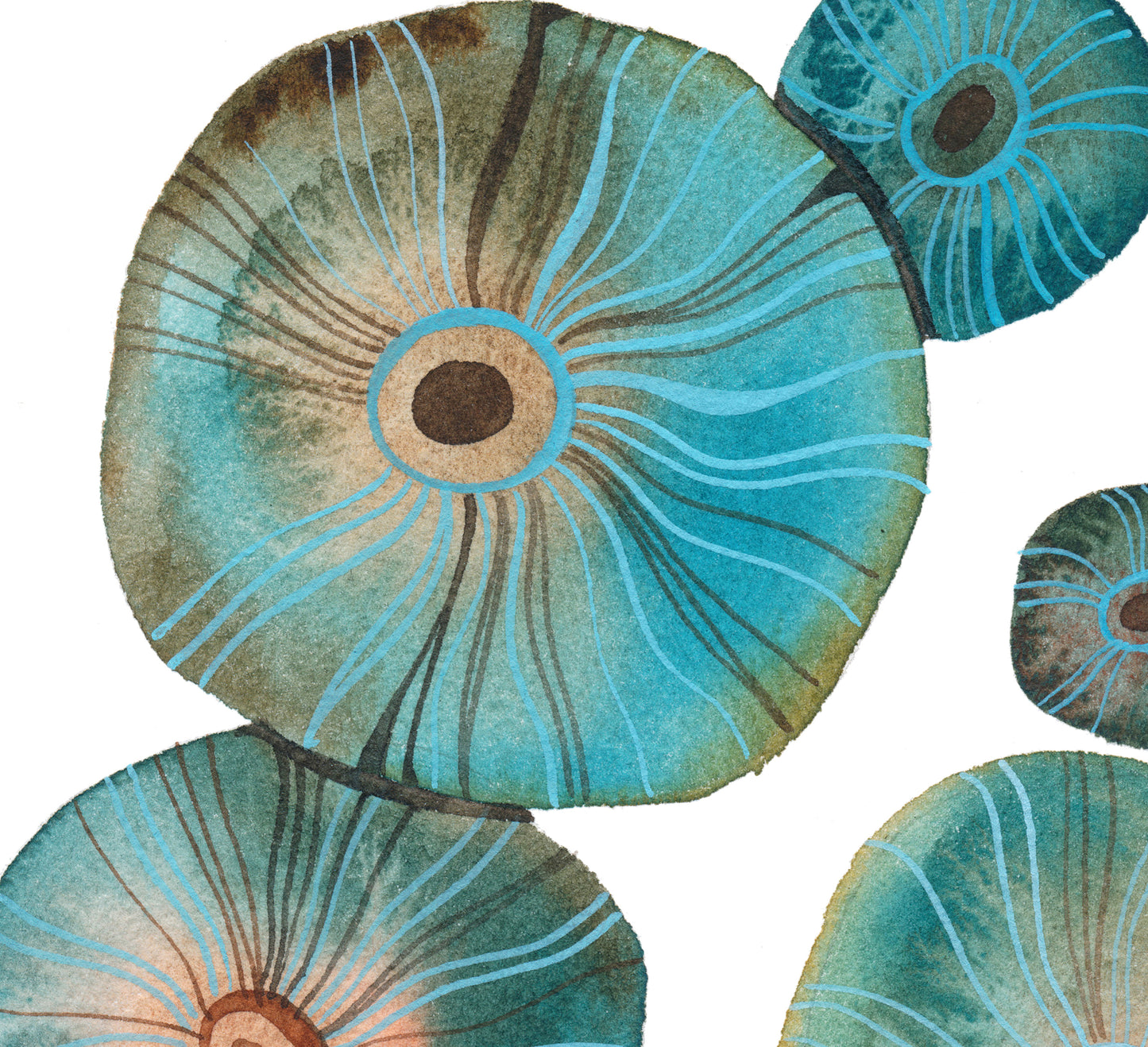 Detail of a watercolor study of salted saffron milk cap mushrooms 