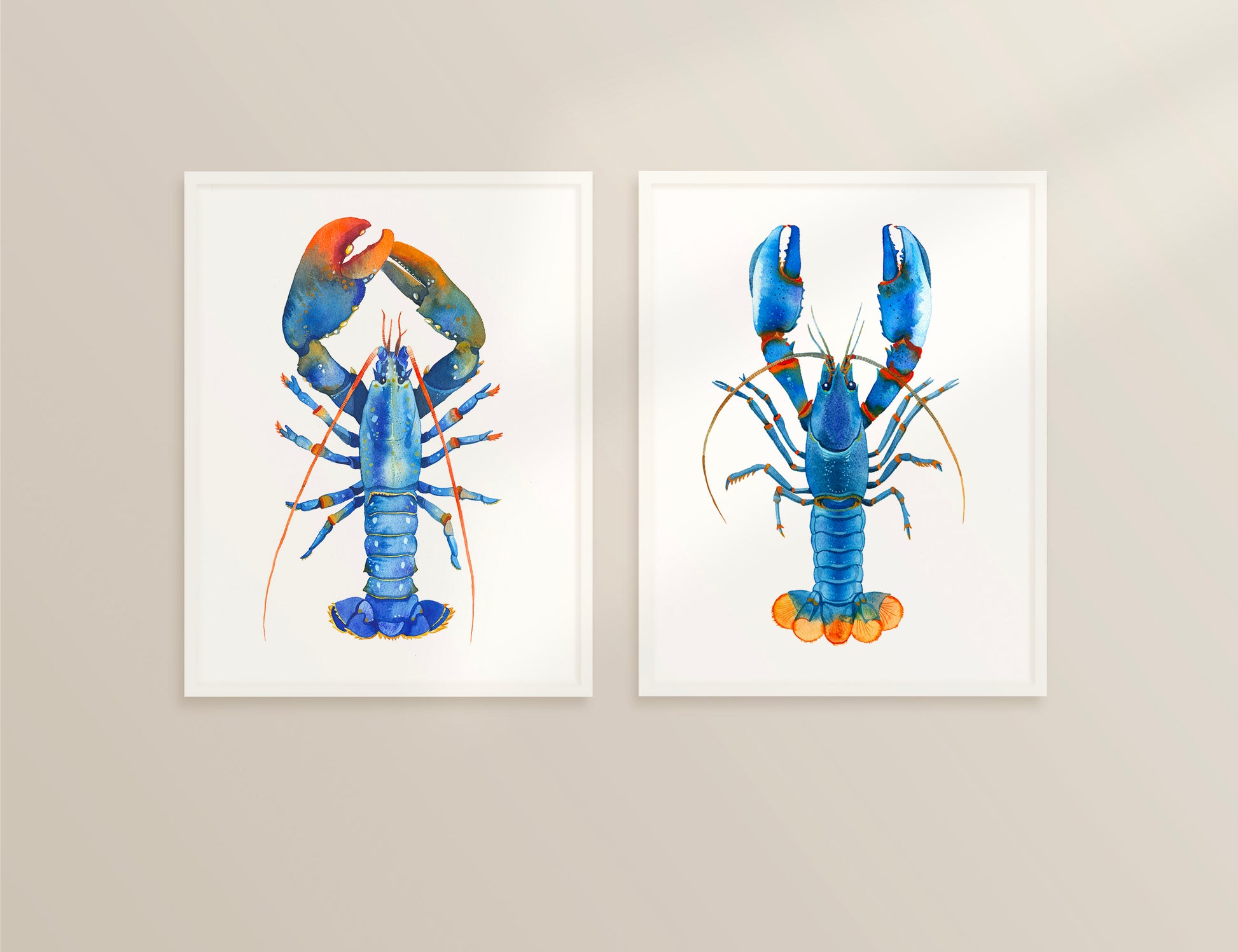 Set of two framed watercolor blue lobster art prints hanging side by side on a light beige wall.