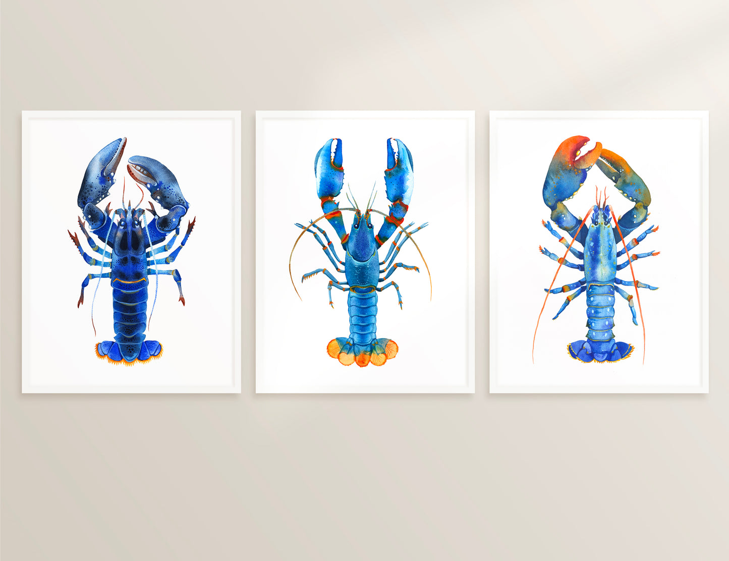 Set of three framed watercolor blue lobster art prints