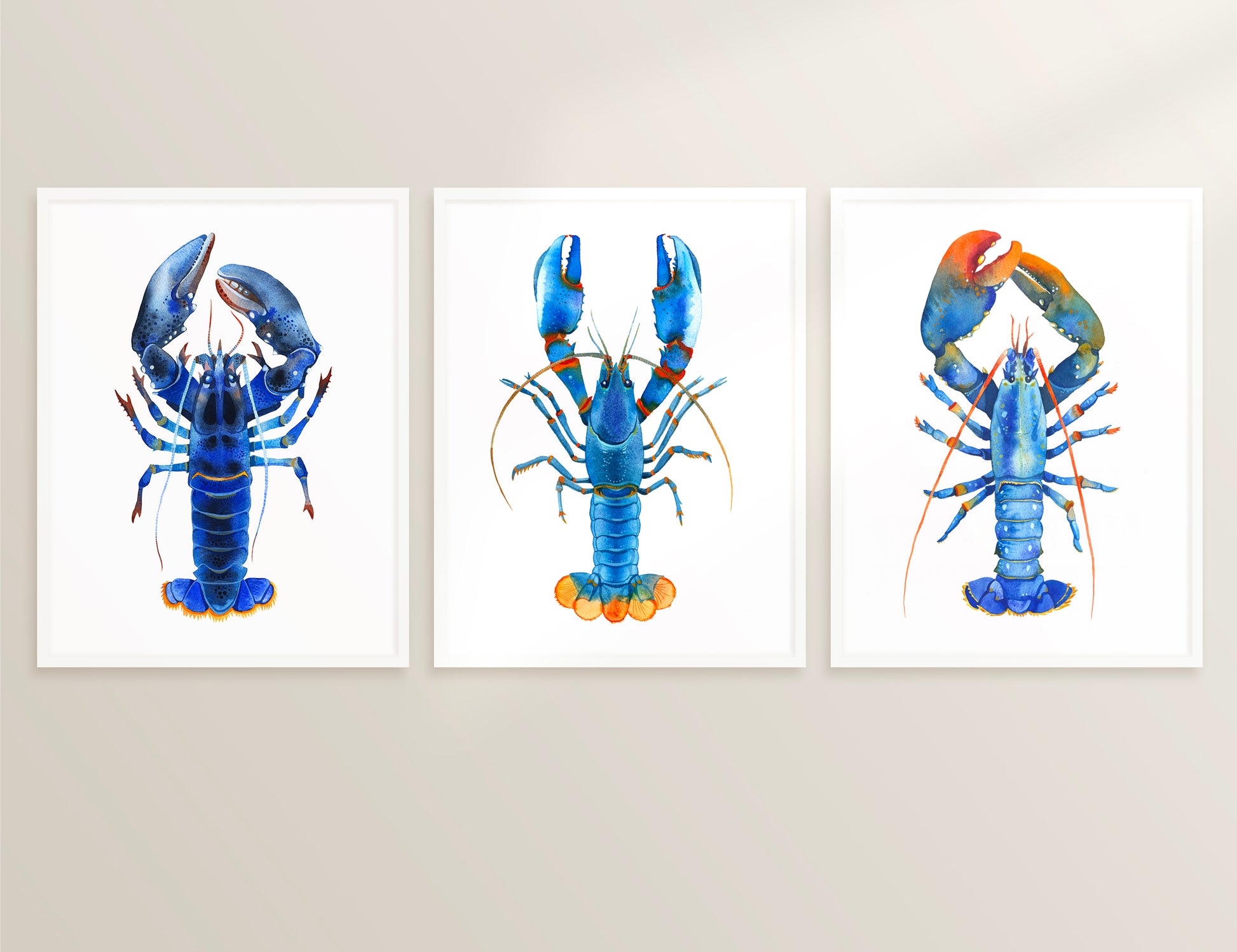 Set of three framed watercolor blue lobster art prints