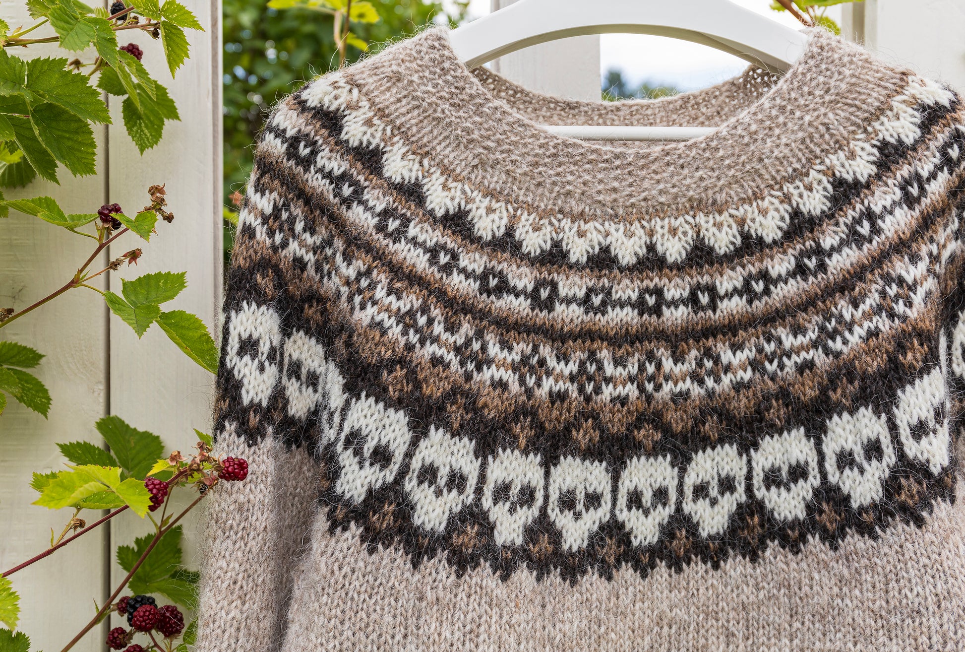 Close-up of Skull icelandic lopapeysa sweater with colorwork yoke