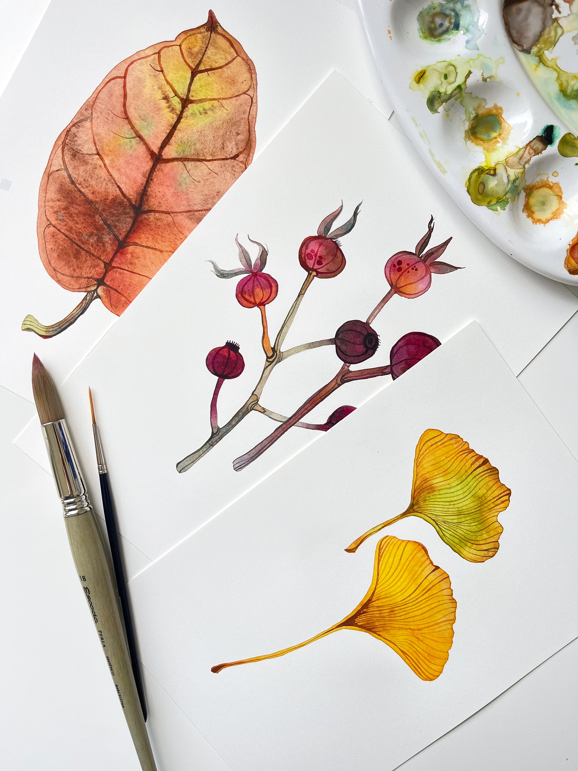 Three botanical watercolor illustrations of dried leaf, dog rose fruits and gingko leaves, accompanied by two paintbrushes