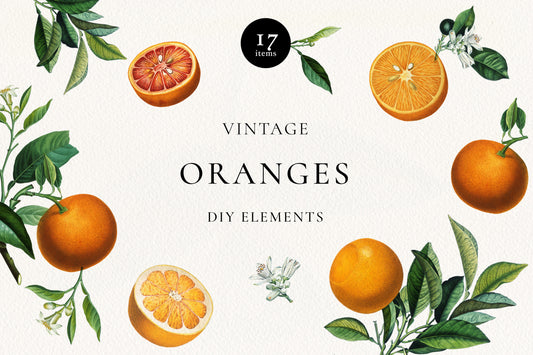 Vintage-style orange illustration set with whole and sliced oranges, green leaves, and small white blossoms on an off-white background. Center text reads 'VINTAGE ORANGES DIY ELEMENTS' with a black circle at top reading '17 elements'.