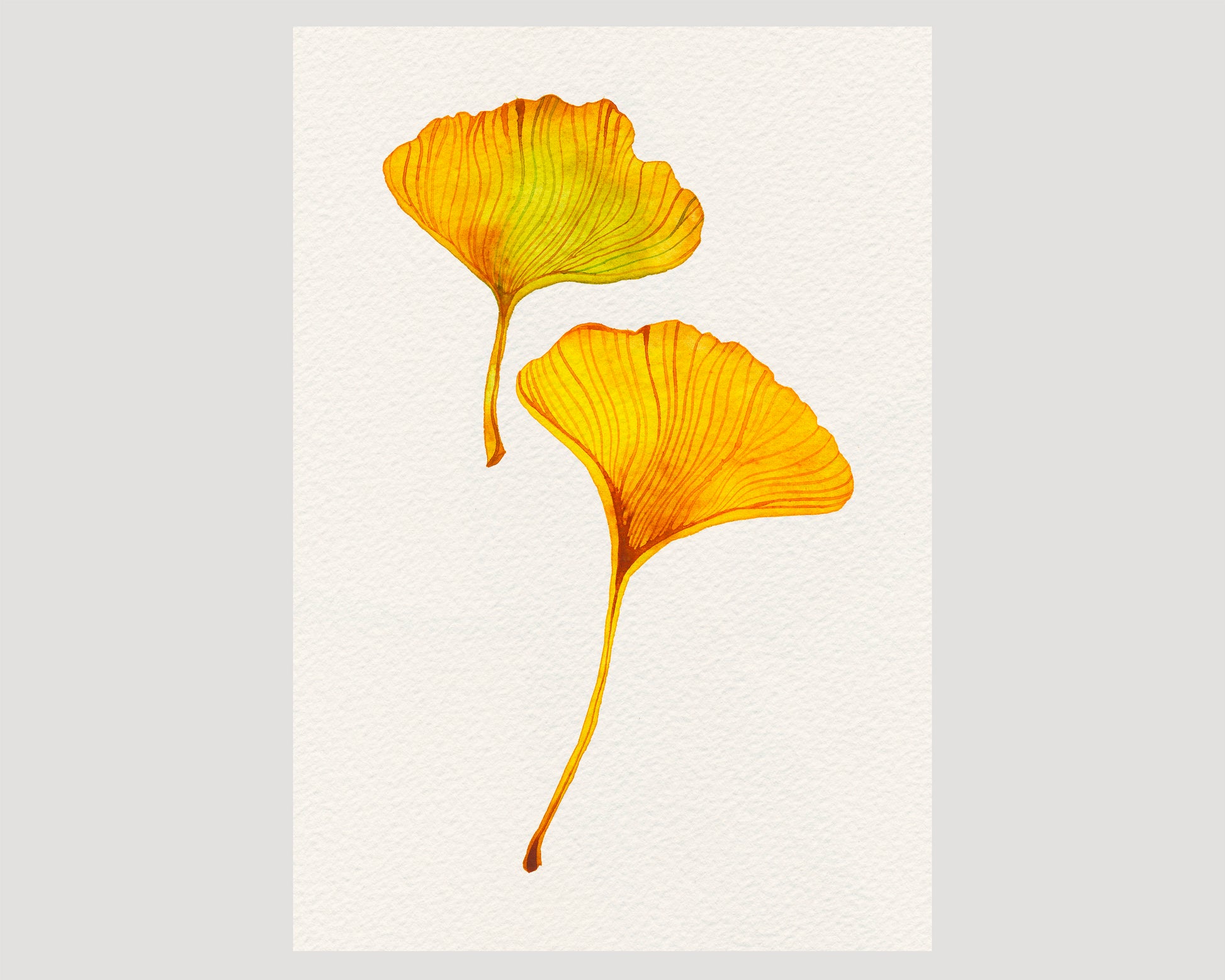 A minimalist art print featuring two watercolor ginkgo leaves in vibrant yellow and orange tones.